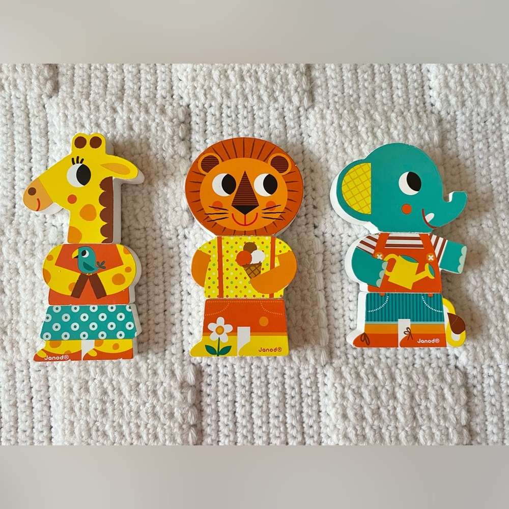 Janod Wooden Magnetic Toy